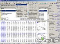 Look at screenshot of WinHex